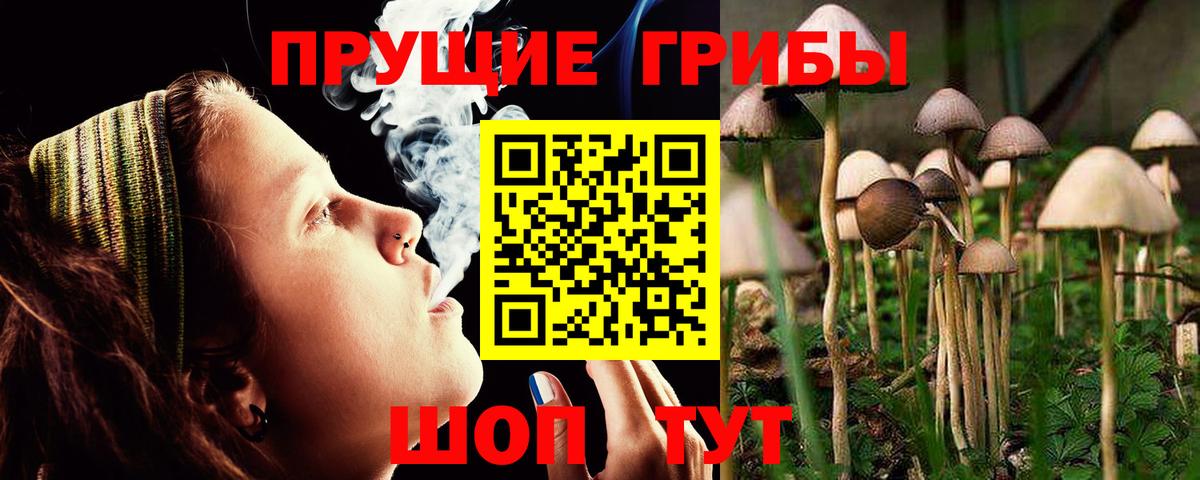 Галлюциногенные грибы MAGIC MUSHROOMS Миасс