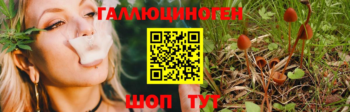 Галлюциногенные грибы GOLDEN TEACHER  Вход с VPN  дарнет шоп  Миасс 